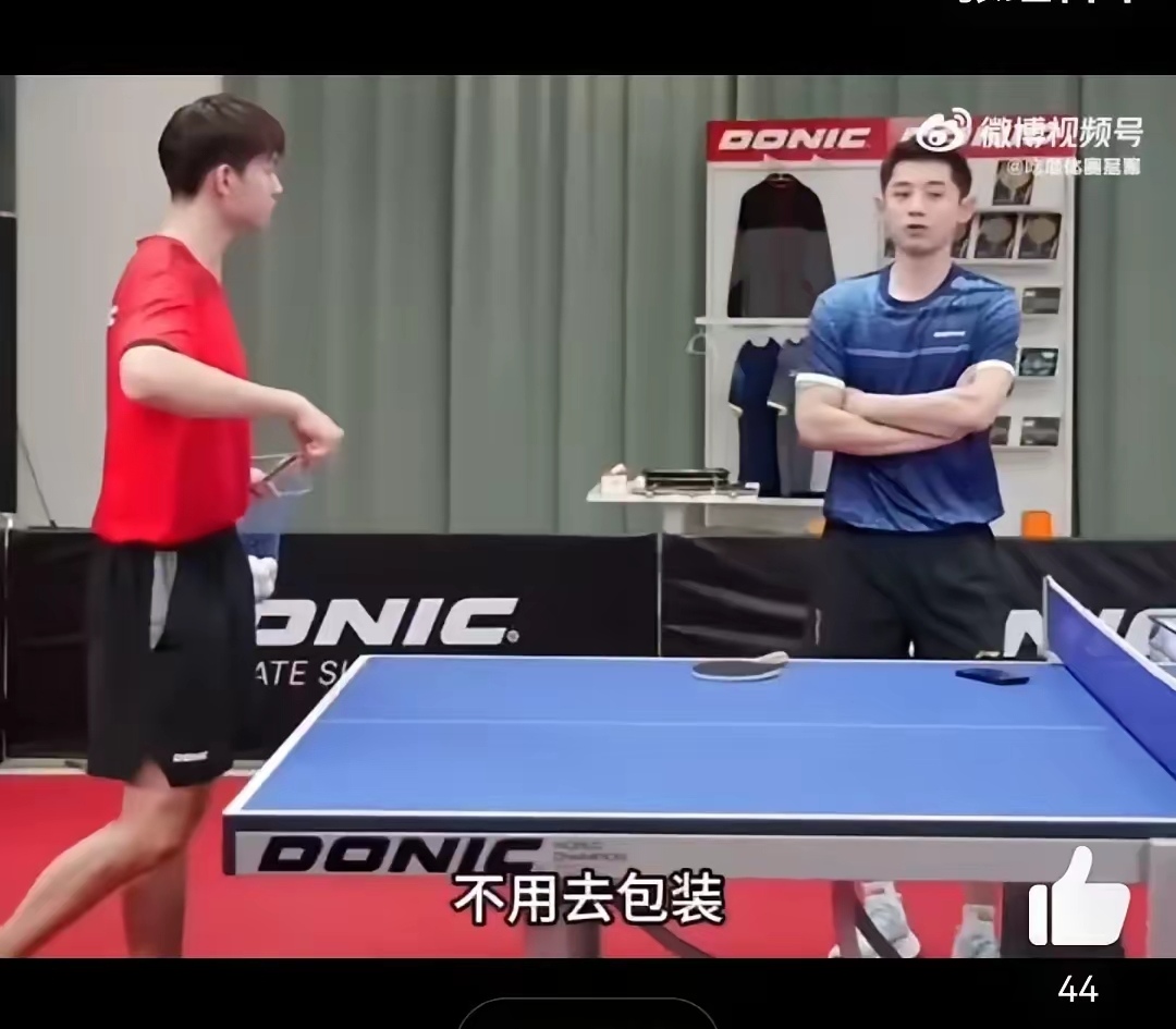 德国乒乓球队绝地反击英国乒乓球队，张继科关键制胜的简单介绍