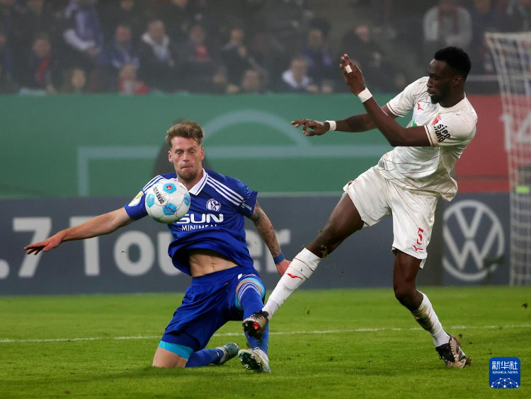 沙尔克04连胜击败霍芬海姆，气势如虹的简单介绍