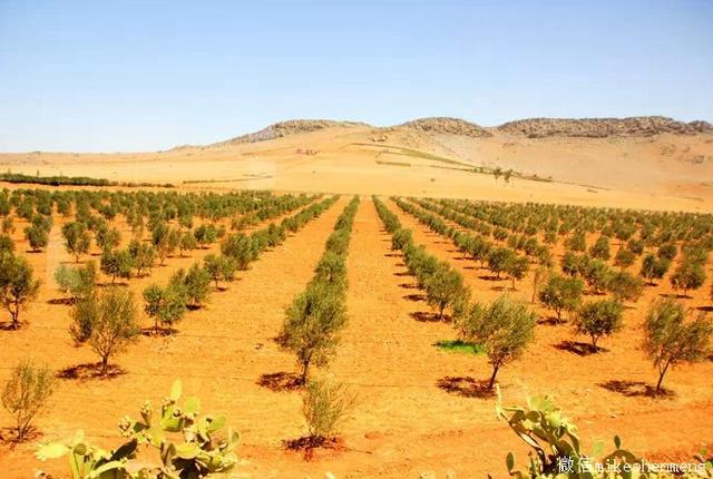 爱沙尼亚不敌摩洛哥遭遇挫败