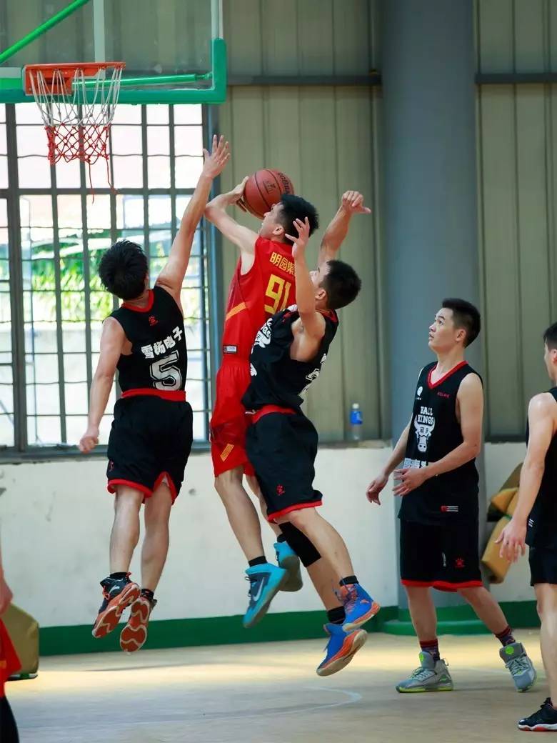 包含瑞典篮球协会全力打造专业赛事，点燃激情的词条