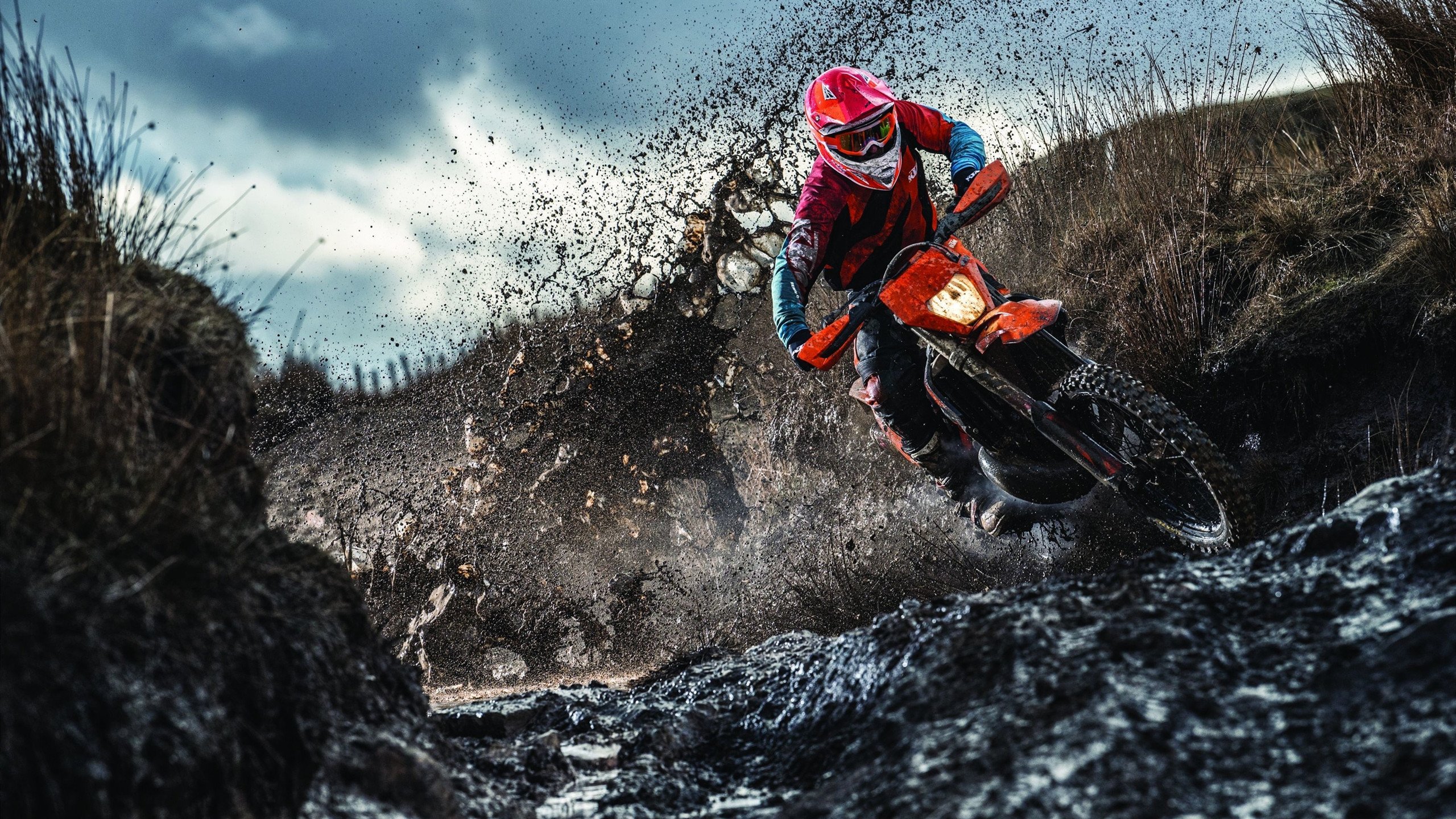 凤凰涅槃夜，当布克用唯一性的火焰，点燃魔术与篮网的宿命棋盘